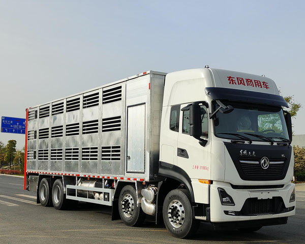 ������CL5310CCQ6SS�������\(y��n)ݔ܇
